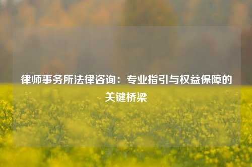 律师事务所法律咨询：专业指引与权益保障的关键桥梁