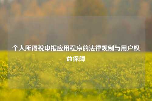 个人所得税申报应用程序的法律规制与用户权益保障