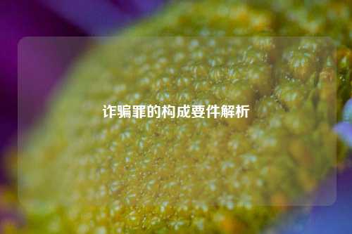 诈骗罪的构成要件解析