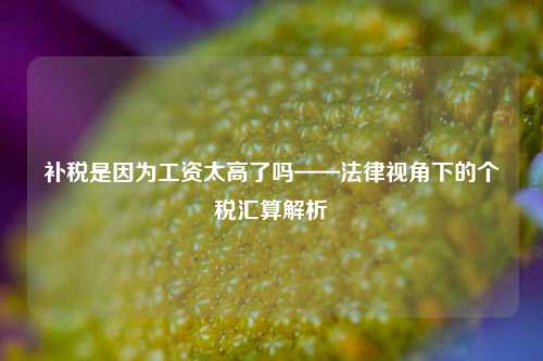 补税是因为工资太高了吗——法律视角下的个税汇算解析