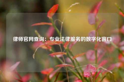 律师官网查询：专业法律服务的数字化窗口