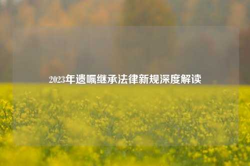 2023年遗嘱继承法律新规深度解读