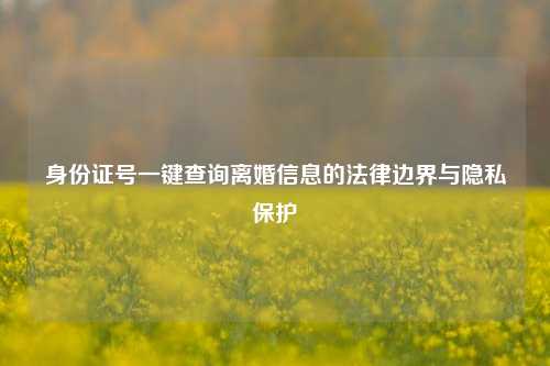 身份证号一键查询离婚信息的法律边界与隐私保护
