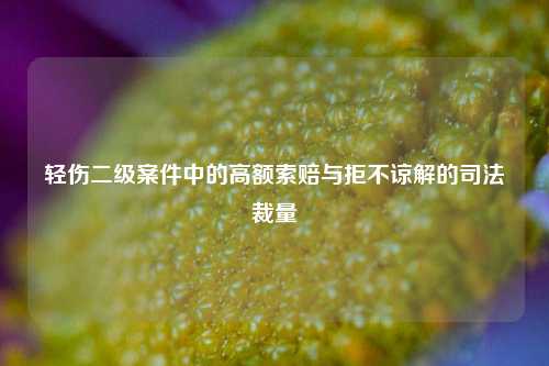 轻伤二级案件中的高额索赔与拒不谅解的司法裁量