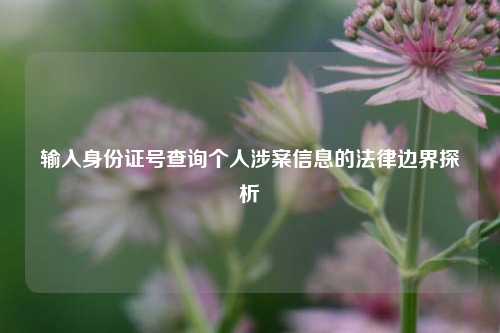 输入身份证号查询个人涉案信息的法律边界探析