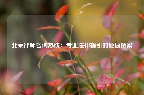北京律师咨询热线：专业法律指引的便捷桥梁