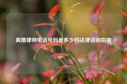 离婚律师电话号码是多少的法律咨询指南
