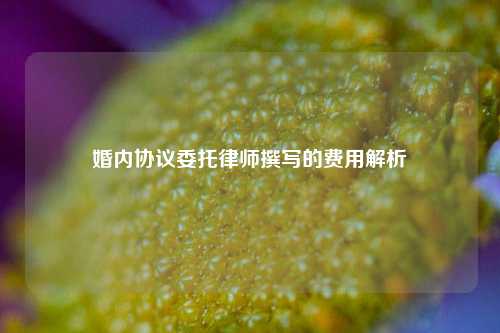 婚内协议委托律师撰写的费用解析