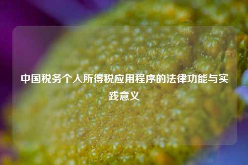 中国税务个人所得税应用程序的法律功能与实践意义