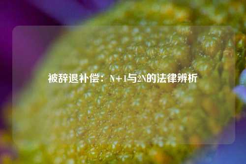 被辞退补偿：N+1与2N的法律辨析
