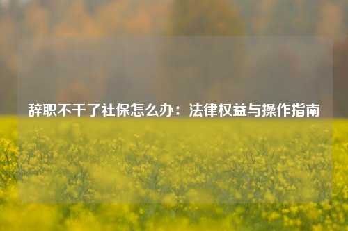 辞职不干了社保怎么办：法律权益与操作指南