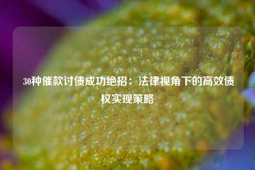  30种催款讨债成功绝招：法律视角下的高效债权实现策略