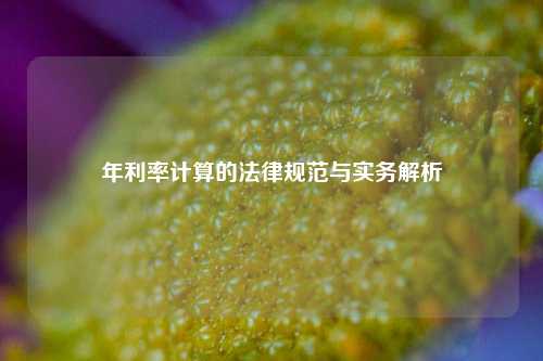 年利率计算的法律规范与实务解析
