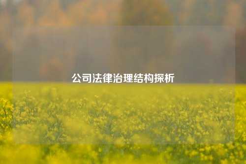 公司法律治理结构探析