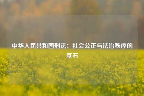 中华人民共和国刑法：社会公正与法治秩序的基石