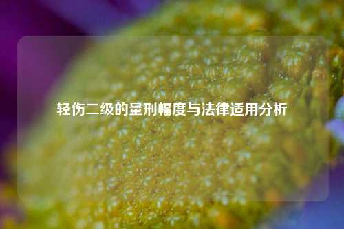 轻伤二级的量刑幅度与法律适用分析