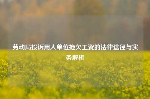 劳动局投诉用人单位拖欠工资的法律途径与实务解析
