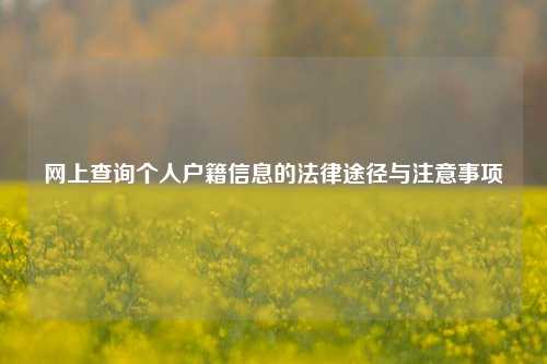 网上查询个人户籍信息的法律途径与注意事项