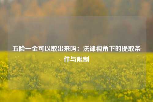 五险一金可以取出来吗：法律视角下的提取条件与限制