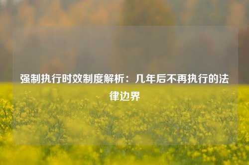 强制执行时效制度解析：几年后不再执行的法律边界