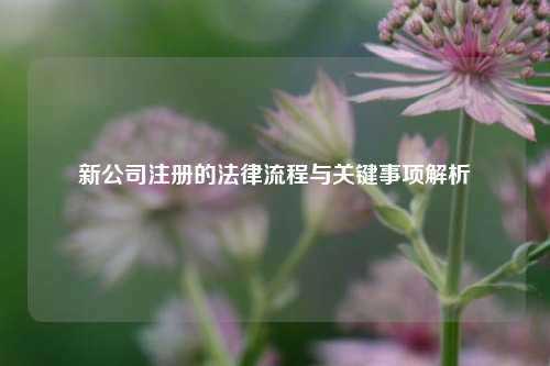 新公司注册的法律流程与关键事项解析