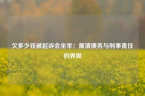 欠多少钱被起诉会坐牢：厘清债务与刑事责任的界限