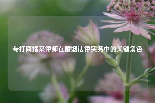 专打离婚案律师在婚姻法律实务中的关键角色