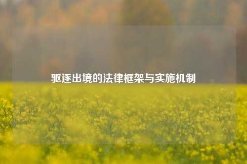 驱逐出境的法律框架与实施机制