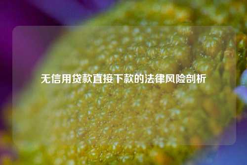 无信用贷款直接下款的法律风险剖析