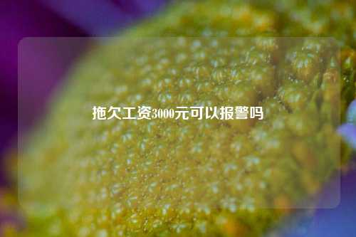 拖欠工资3000元可以报警吗