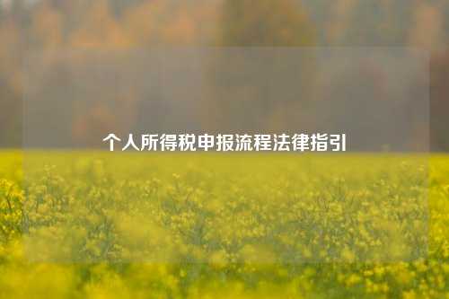 个人所得税申报流程法律指引