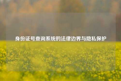 身份证号查询系统的法律边界与隐私保护