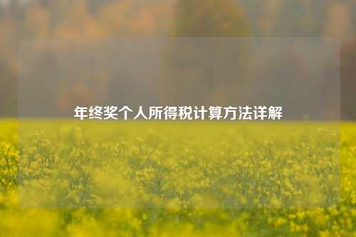 年终奖个人所得税计算方法详解