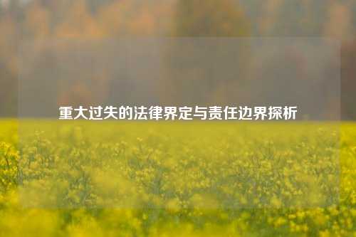 重大过失的法律界定与责任边界探析
