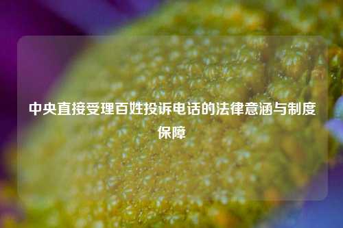 中央直接受理百姓投诉电话的法律意涵与制度保障