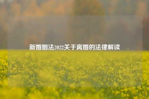 新婚姻法2022关于离婚的法律解读