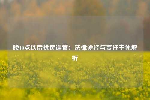 晚10点以后扰民谁管：法律途径与责任主体解析