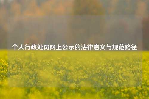 个人行政处罚网上公示的法律意义与规范路径