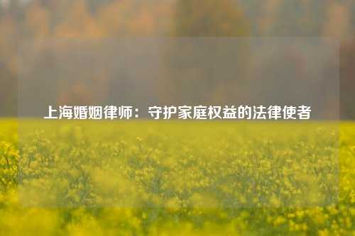上海婚姻律师：守护家庭权益的法律使者