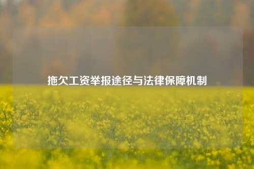 拖欠工资举报途径与法律保障机制