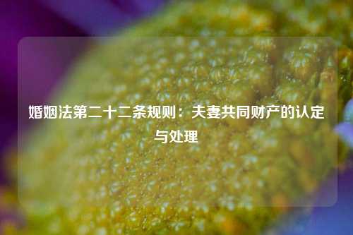 婚姻法第二十二条规则：夫妻共同财产的认定与处理