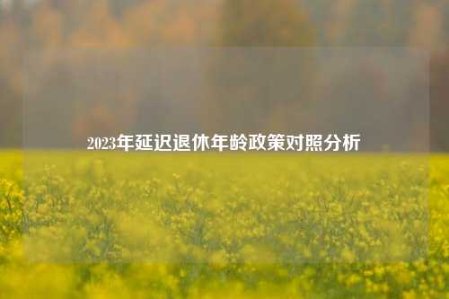 2023年延迟退休年龄政策对照分析