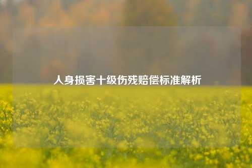  人身损害十级伤残赔偿标准解析