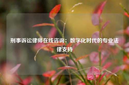 刑事诉讼律师在线咨询：数字化时代的专业法律支持