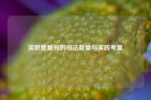 渎职罪量刑的司法裁量与实践考量