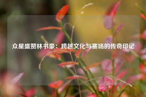 众星盛赞林书豪：跨越文化与赛场的传奇印记