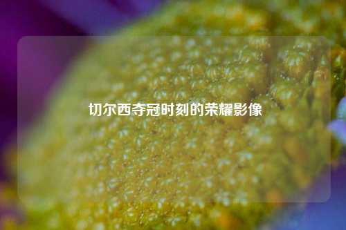  切尔西夺冠时刻的荣耀影像