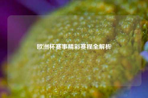 欧洲杯赛事精彩赛程全解析