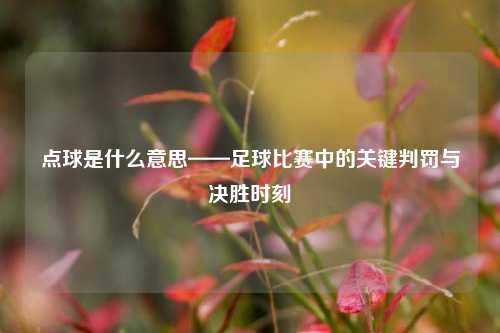 点球是什么意思——足球比赛中的关键判罚与决胜时刻