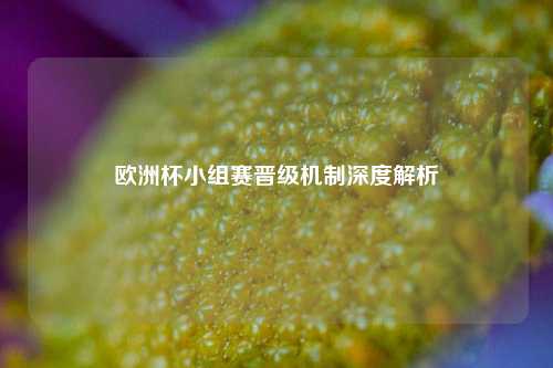 欧洲杯小组赛晋级机制深度解析
